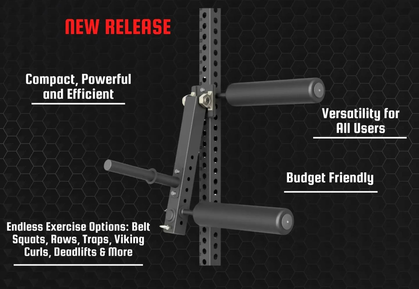 Leg Curl & Extension Attachment